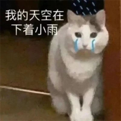 2025年最火的表情包头像图片
