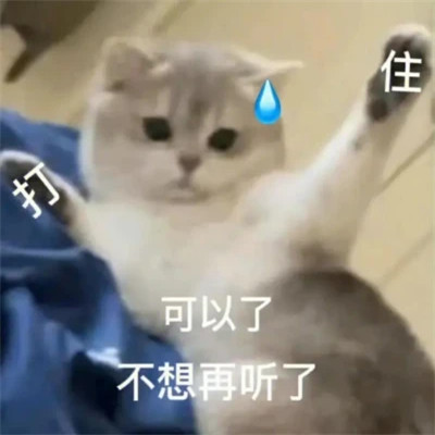 2025年最火的表情包头像图片