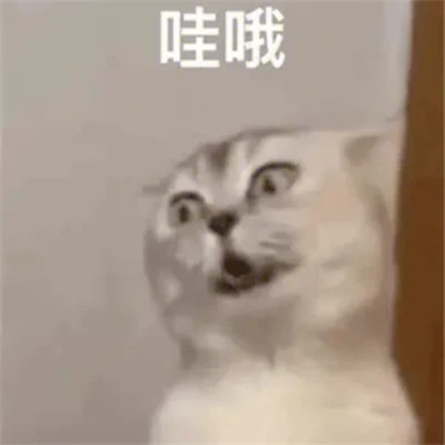 2025年最火的表情包头像图片