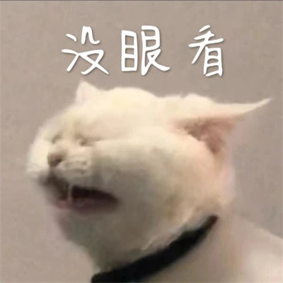 2025年最火的表情包头像图片