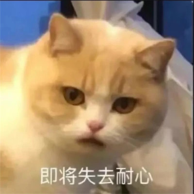 2025年最火的表情包头像图片