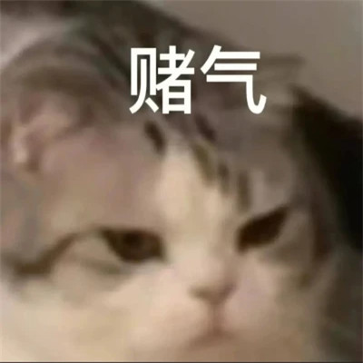 2025年最火的表情包头像图片