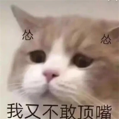 2025年最火的表情包头像图片