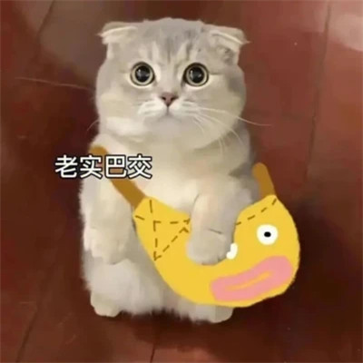 2025年最火的表情包头像图片
