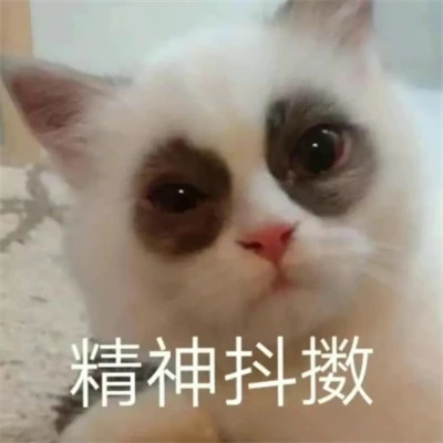 2025年最火的表情包头像图片