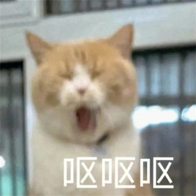 2025年最火的表情包头像图片