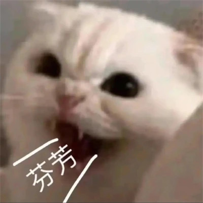 2025年最火的表情包头像图片