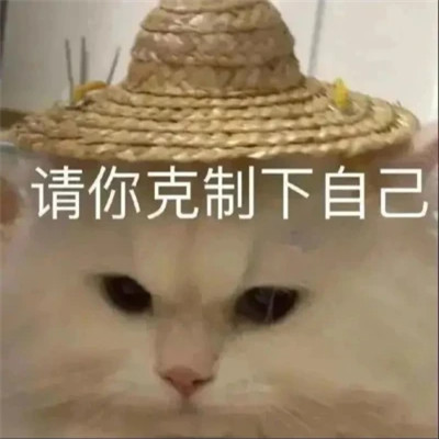 2025年最火的表情包头像图片