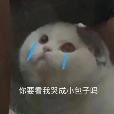 2025年最火的表情包头像图片