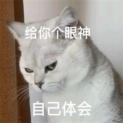 2025年最火的表情包头像图片