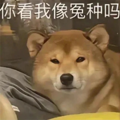 2025年最火的表情包头像图片