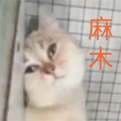 2025年最火的表情包头像图片
