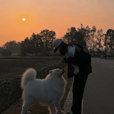 自由而浪漫的氛围感女头图片