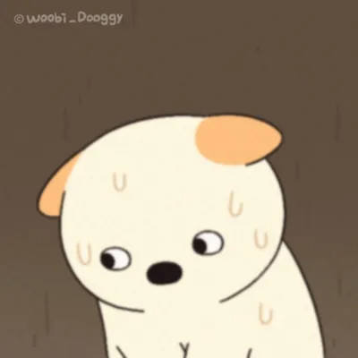 网络最火搞笑图片头像