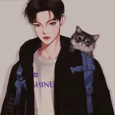 冷门小众好看的情头