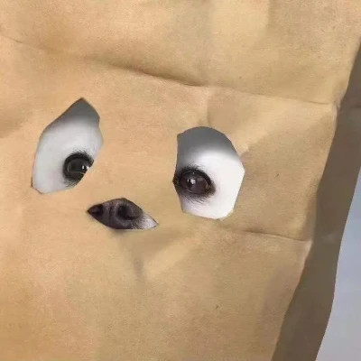 特别特别好看的情侣头像