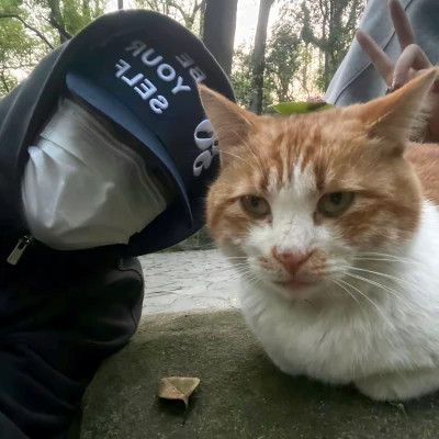 2025男生撩妹专用头像
