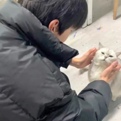 头像2025最新款男生真人