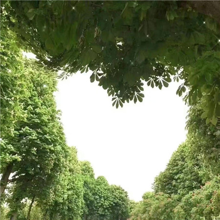 风景2025年最新版图片