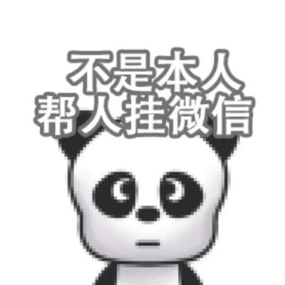 2025最新可爱呆萌头像图片