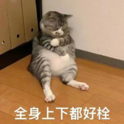 可爱搞笑的沙雕表情包头像图片