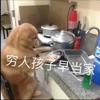 可爱搞笑的沙雕表情包头像图片