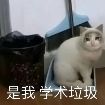 可爱搞笑的沙雕表情包头像图片
