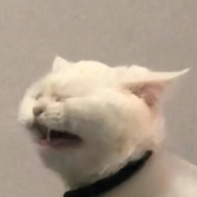 可爱搞笑的沙雕表情包头像图片