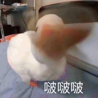 可爱搞笑的沙雕表情包头像图片
