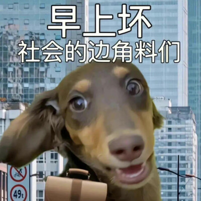 可爱搞笑的沙雕表情包头像图片