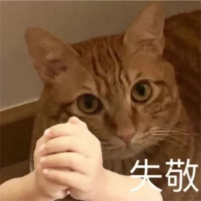 可爱搞笑的沙雕表情包头像图片