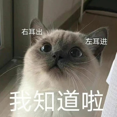 可爱搞笑的沙雕表情包头像图片