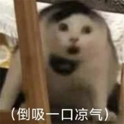 可爱搞笑的沙雕表情包头像图片