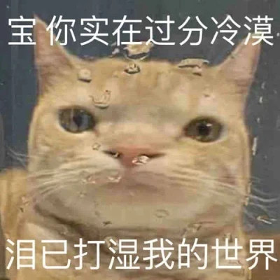 可爱搞笑的沙雕表情包头像图片