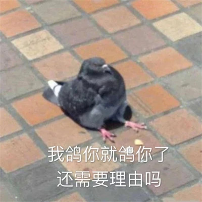 可爱搞笑的沙雕表情包头像图片