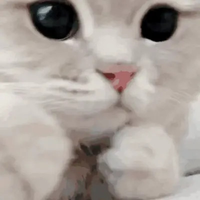 可爱搞笑的沙雕表情包头像图片
