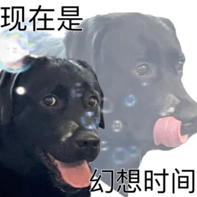 可爱搞笑的沙雕表情包头像图片