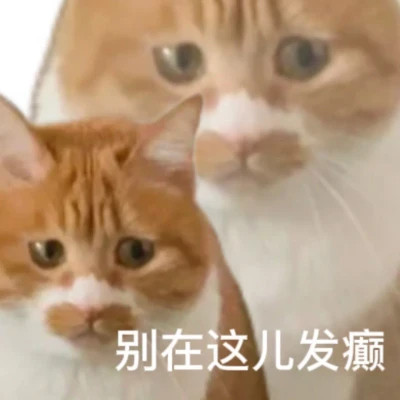 可爱搞笑的沙雕表情包头像图片