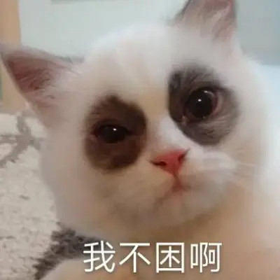 可爱搞笑的沙雕表情包头像图片