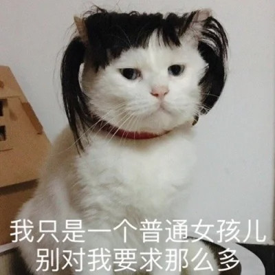 可爱搞笑的沙雕表情包头像图片