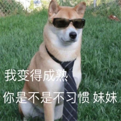 可爱搞笑的沙雕表情包头像图片