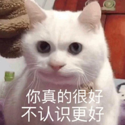 可爱搞笑的沙雕表情包头像图片