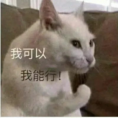 可爱搞笑的沙雕表情包头像图片