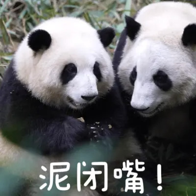 2025年最火的表情搞笑头像