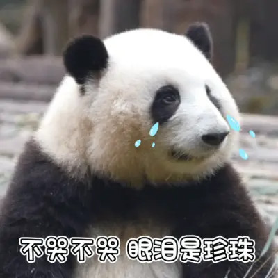 2025年最火的表情搞笑头像