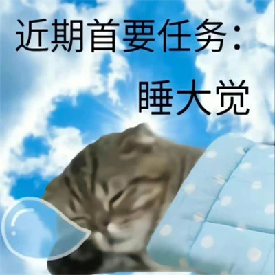 2025年最火的表情搞笑头像