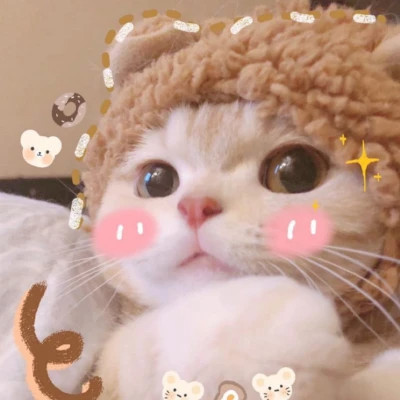 小动物图片大全可爱头像