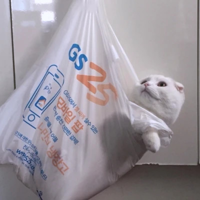 微信好看的小动物头像图片