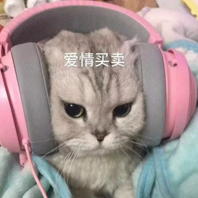 微信好看的小动物头像图片