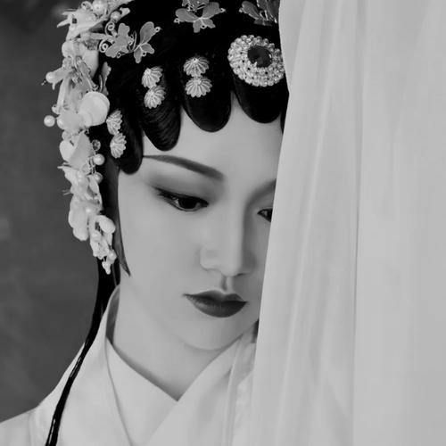 古风黑白高级女头真人图片